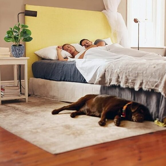 NEW Artificial Plants Real Looking and Touching Fake Plant Evergreen Plastic - Picture 8 of 10